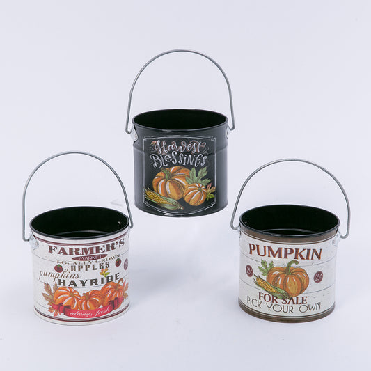 Pumpkin Buckets